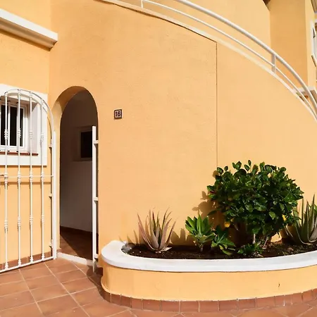 Colonial * أذيخي